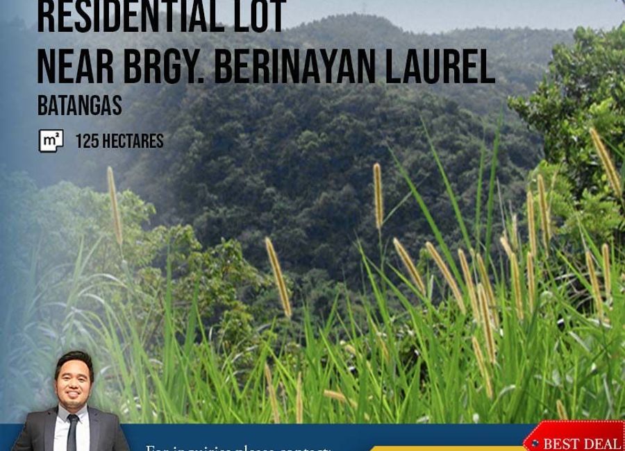 Talisay-Laurel-Agoncillo Road, Sampaloc, Berinayan, Laurel, Batangas