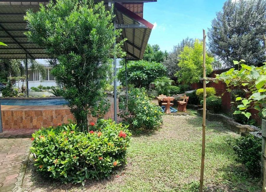 place photo 53