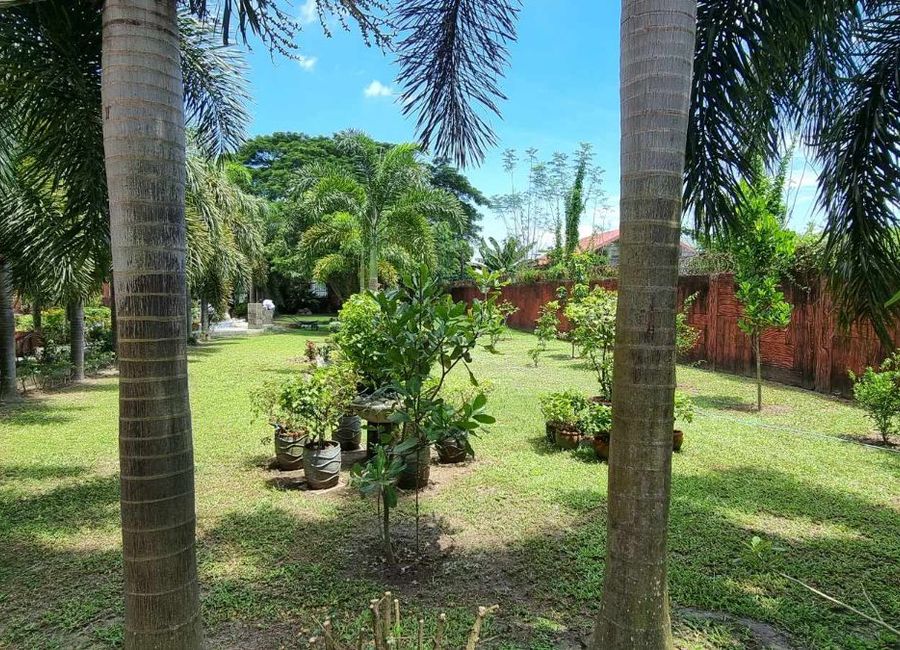 place photo 46