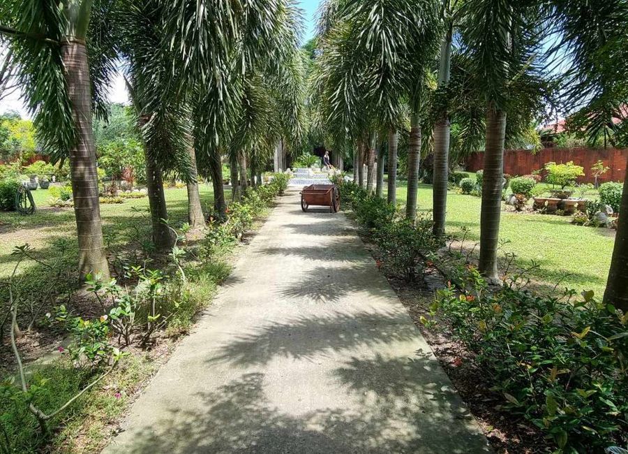 place photo 56
