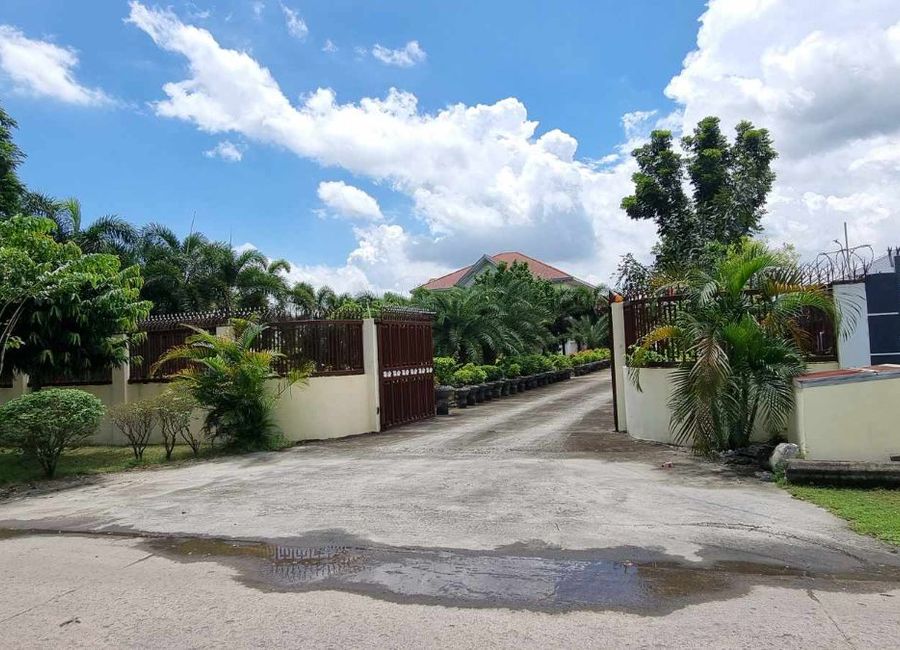 place photo 71