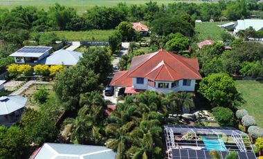 3390 SQM WITH 2-STOREY HOUSE  & LOT FOR SALE WITH SWIMMING POOL,  HUGE LANDSCAPE GARDEN & FRUIT BEARING TREES IN BRGY. TINANG CONCEPCION TARLAC