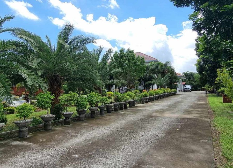place photo 81