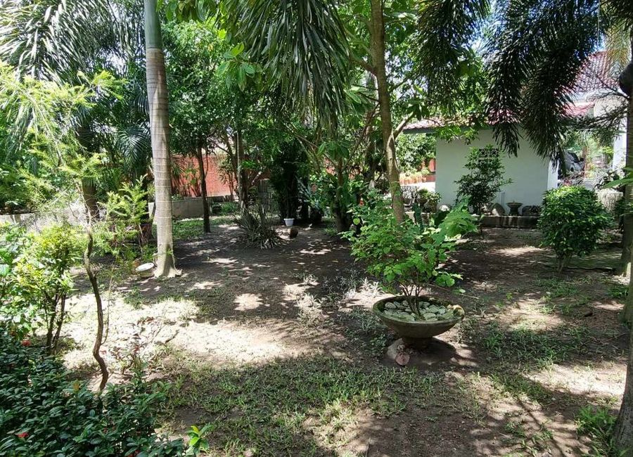 place photo 67