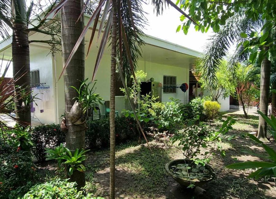 place photo 59