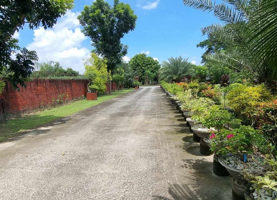 place photo 74