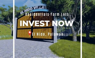 El Nido Palawan Affordable Lot