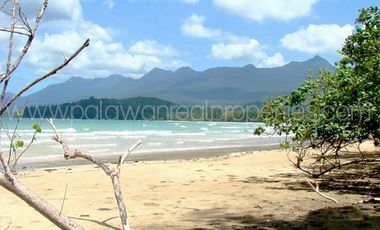 PRISTINE WHITE BEACH SAND IN WEST COAST OF PUERTO PRINCESA