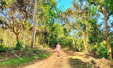 Lots for sale in El Nido Palawan