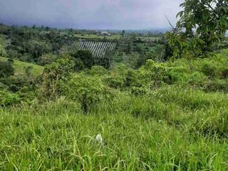 Tanah Kebun 1200 MDPL dengan View Lembah di Kintamani Bali