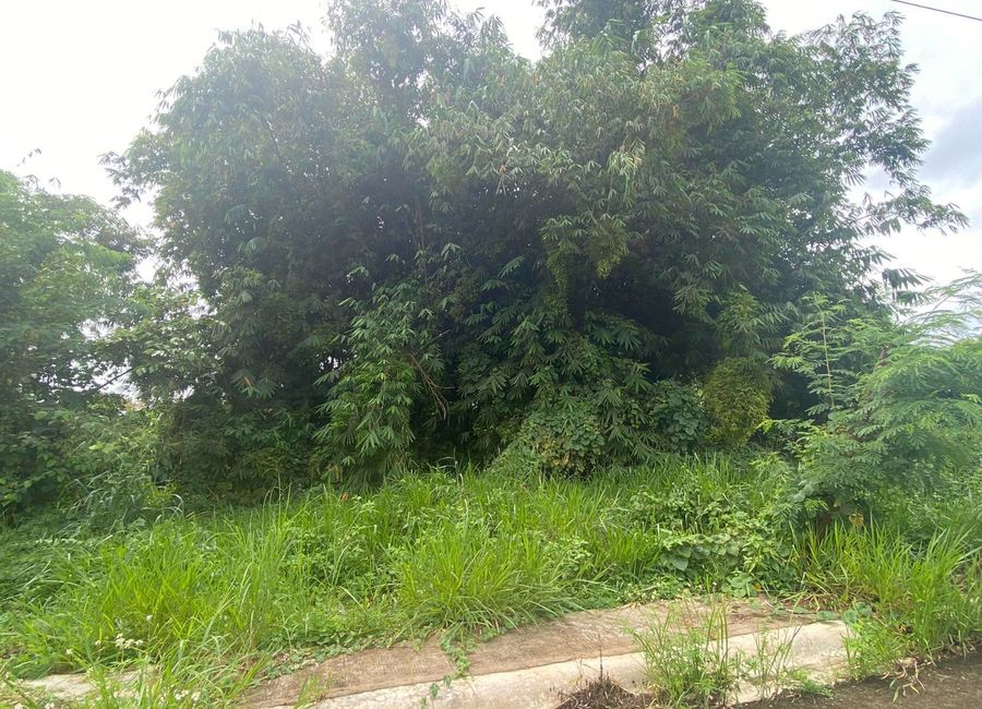 Forest Hills Avenue, Lower Tulakin, Bagong Nayon, Antipolo, Rizal image 2