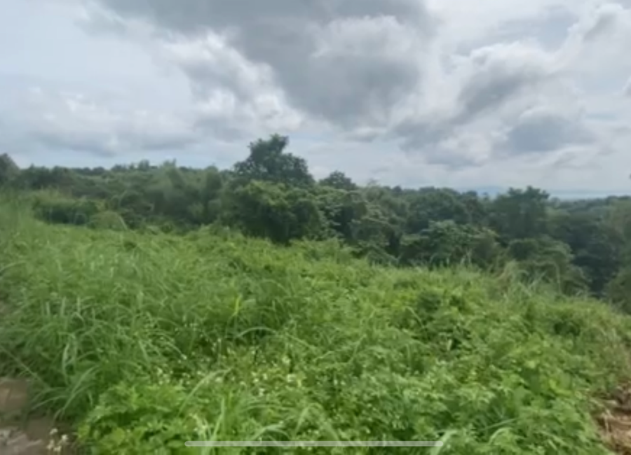 Forest Hills Avenue, Lower Tulakin, Bagong Nayon, Antipolo, Rizal
