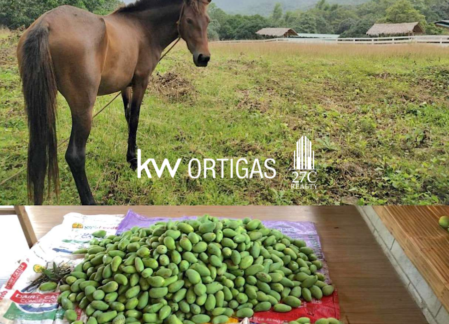 Maugat, Nasugbu, Batangas