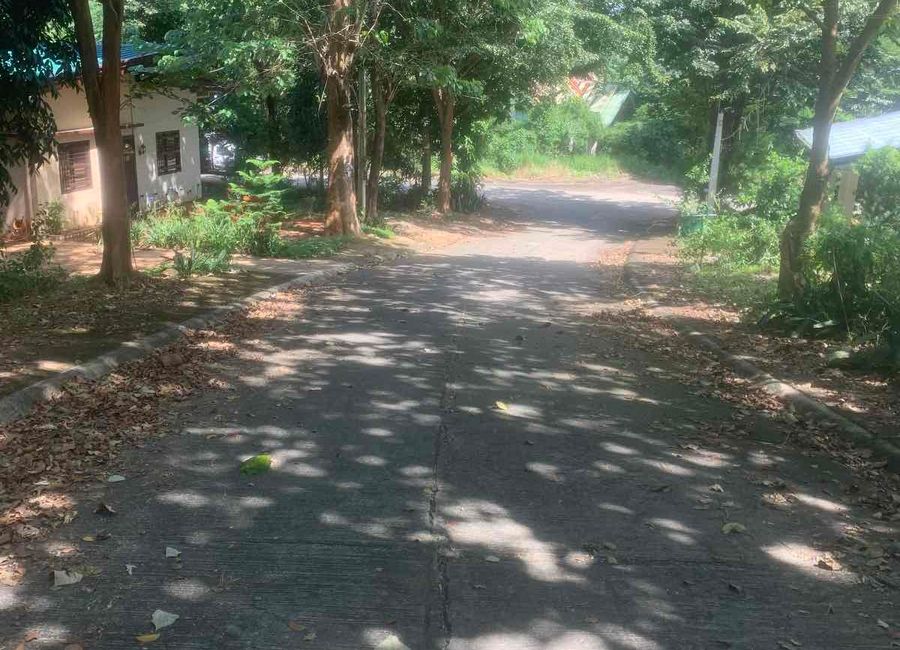 Medalva Road, San Isidro, Angono, Rizal