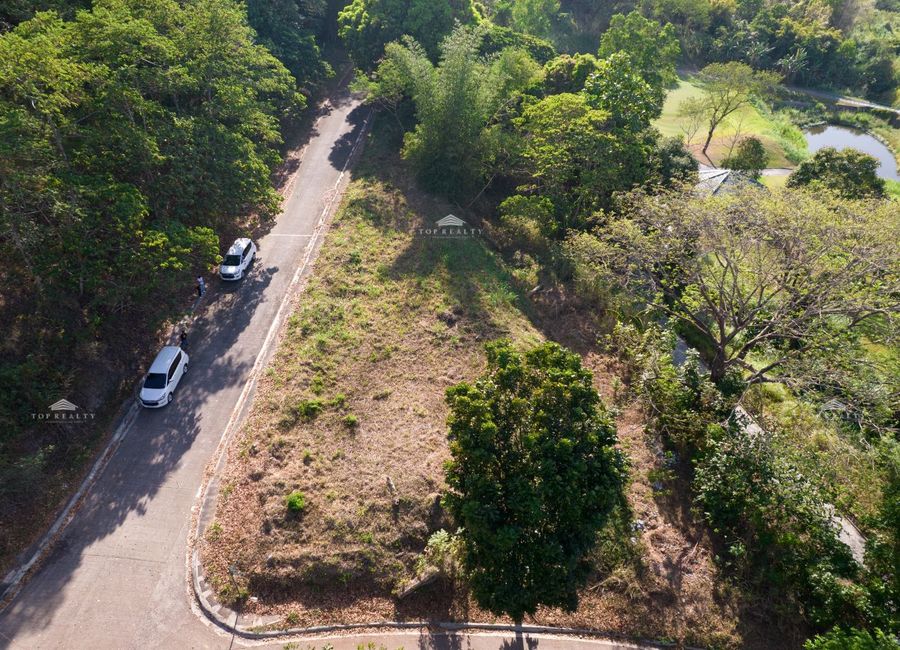 Forest Hills Avenue, Lower Tulakin, Bagong Nayon, Antipolo, Rizal