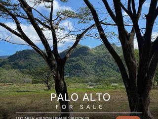 Lot for Sale in Palo Alto Leisure &amp; Residential Estates
