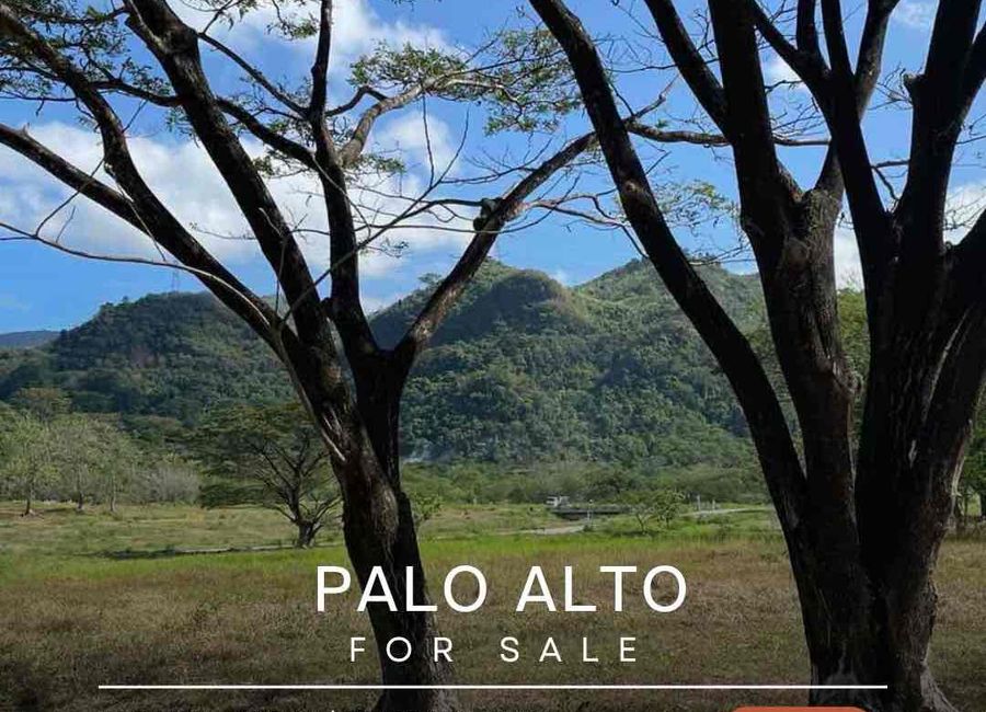 Vera, Palo Alto Executive Village, Baras, Rizal