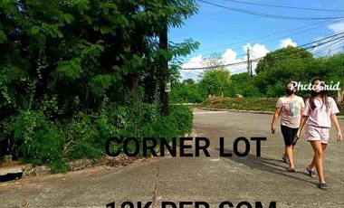 316 SQM Lot For Sale