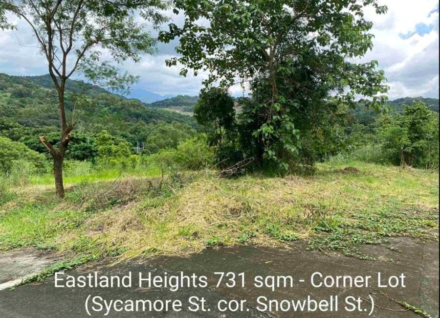 Forest Hills Avenue, Lower Tulakin, Bagong Nayon, Antipolo, Rizal image 3