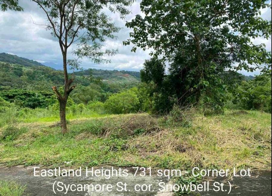 Forest Hills Avenue, Lower Tulakin, Bagong Nayon, Antipolo, Rizal image 2
