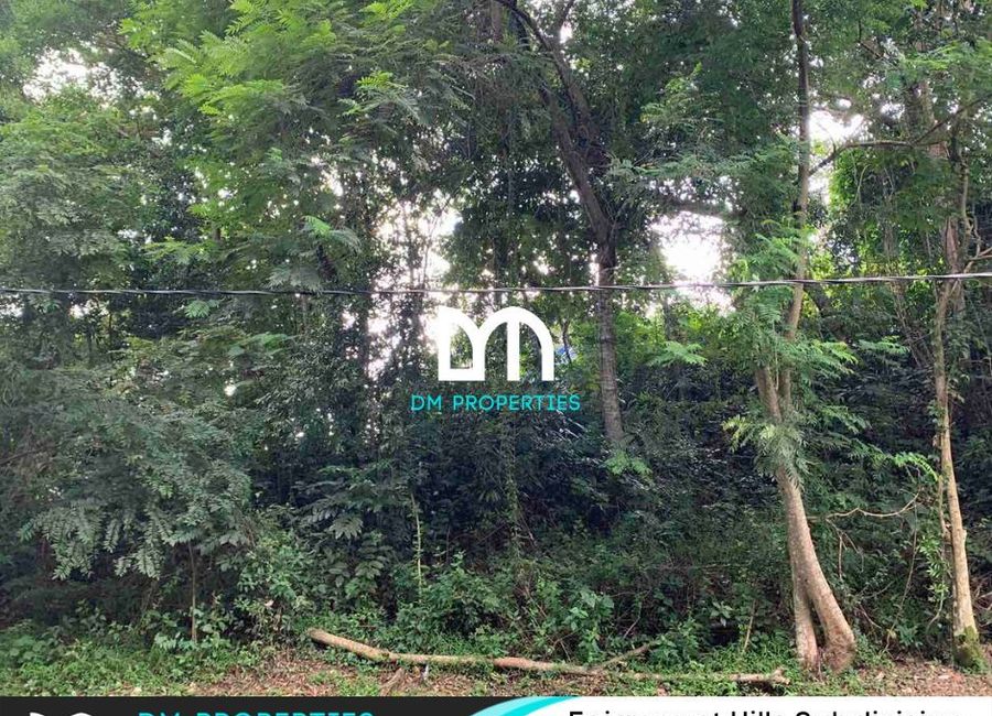 Fairmount Hills, Dela Paz, Antipolo, Rizal image 2