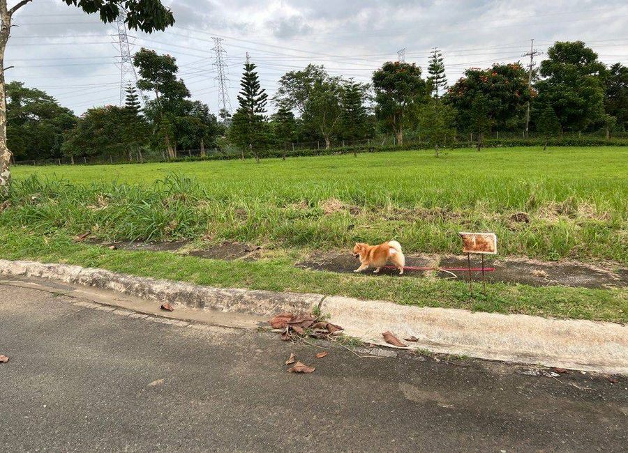 Wollemi Street, Kew Gardens, Tranca, Talisay, Batangas