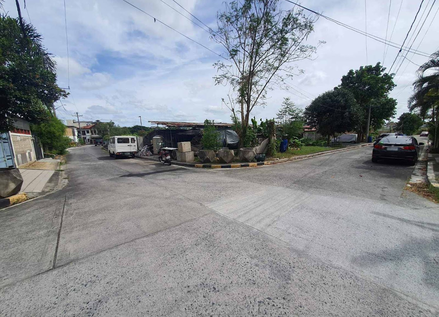Molave Street, Greenwood 5, Cainta, Rizal image 2