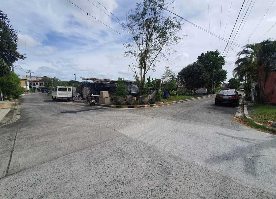 Molave Street, Greenwood 5, Cainta, Rizal image 3