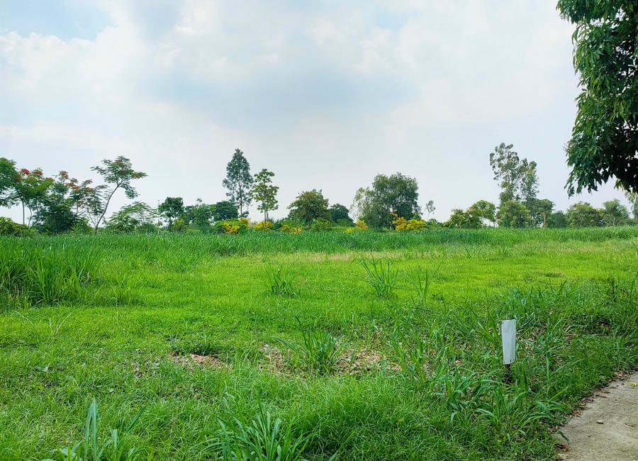 Lumira, Canlubang, Calamba, Laguna image 3