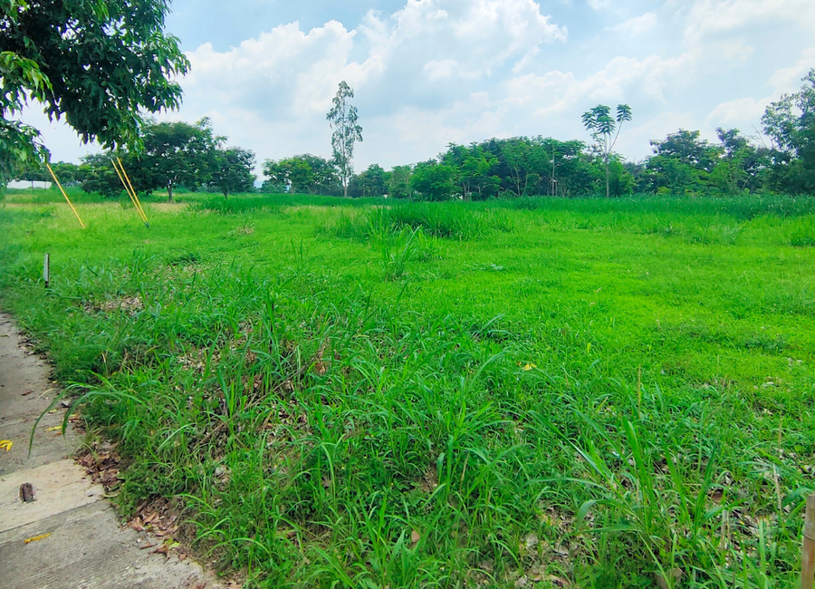 Lumira, Canlubang, Calamba, Laguna image 2