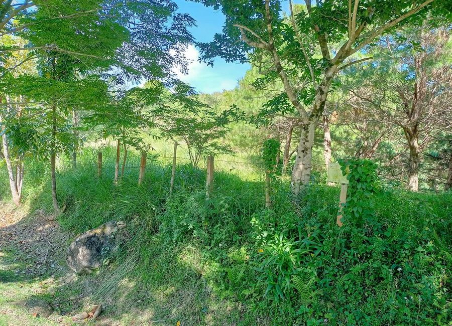 Lot for Sale in Tanay, Rizal | Lamudi.com.ph