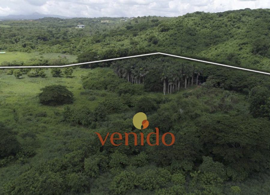 Venido, Biñan, Laguna