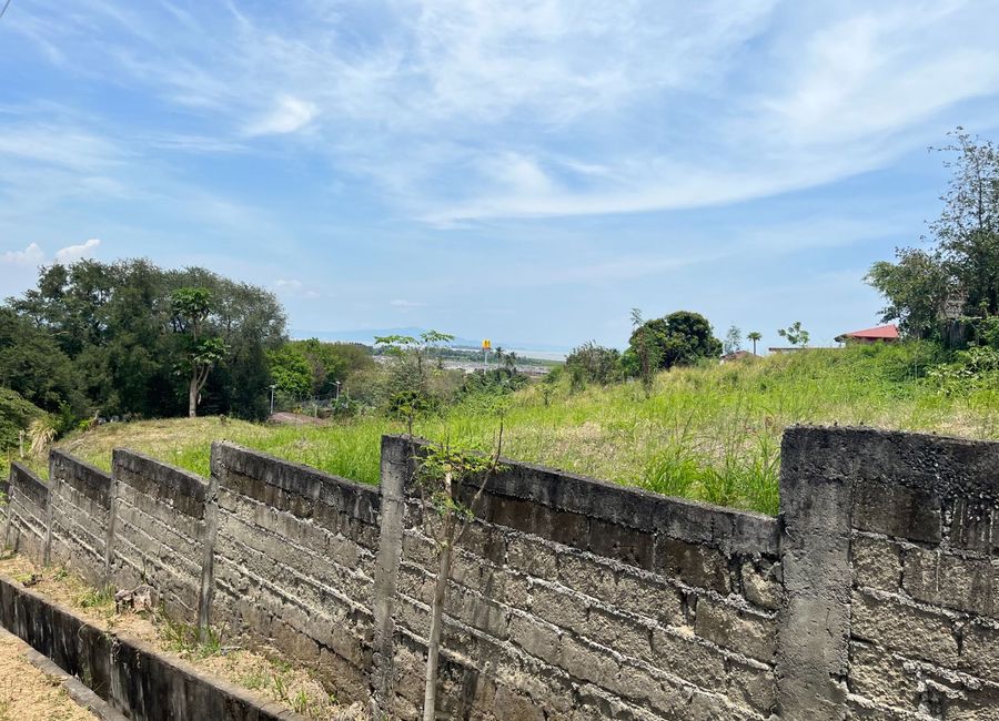 Milagrosa-Bucal Bypass Road, Bucal, Calamba, Laguna image 3