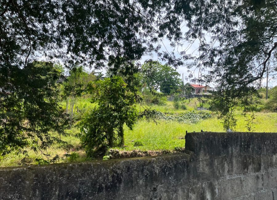 Milagrosa-Bucal Bypass Road, Bucal, Calamba, Laguna