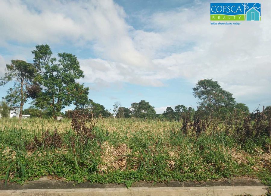 Morningfields, Canlubang, Calamba, Laguna image 3