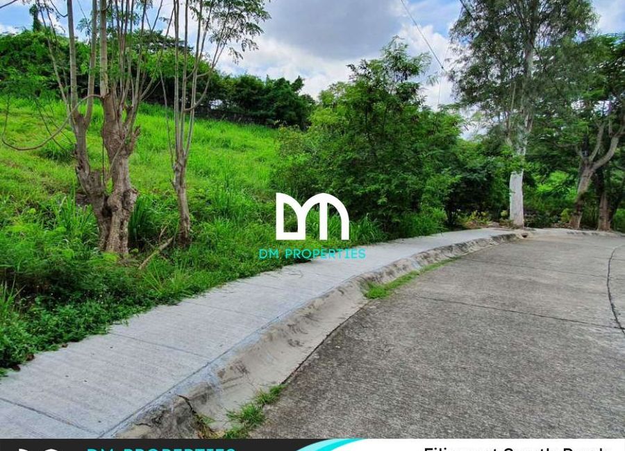 Mont Blanc Street, South Peak, San Antonio, San Pedro, Laguna image 3
