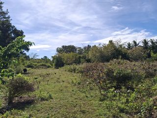 Titled 4474sqm Tambisan, San Juan Near Paliton Beach, 1500 per sqm