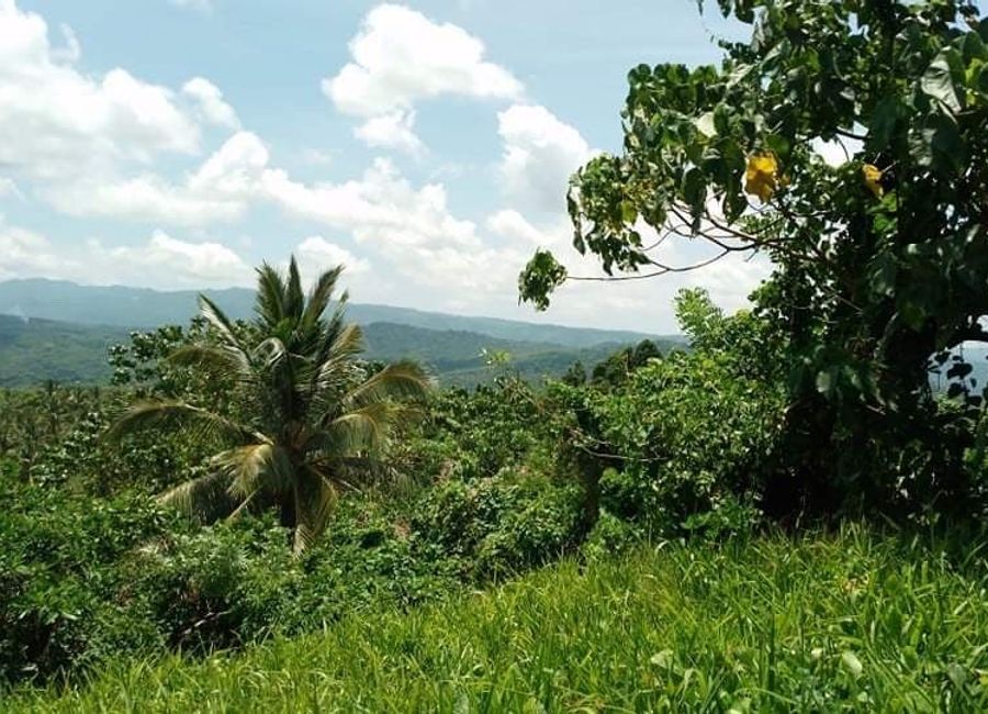 Cuyambay, Tanay, Rizal image 2