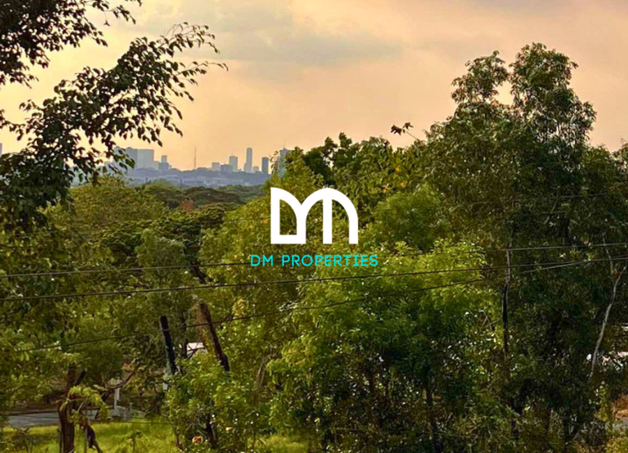 Parkridge Drive, Park Ridge, Santa Cruz, Antipolo, Rizal