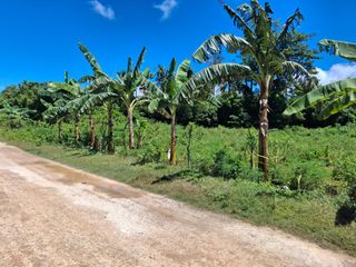 1465 or 2915sqm Near Paliton Beach Titled and Ready to Build Land Siquijor, San Juan 1900php/sqm