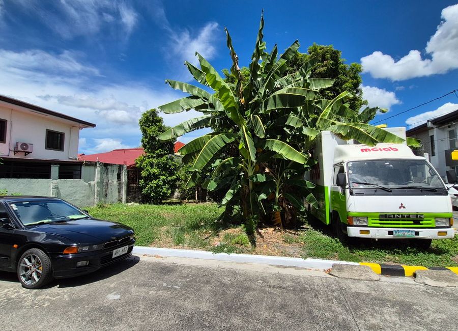 Dapdap Street, Greenwood 5, Cainta, Rizal