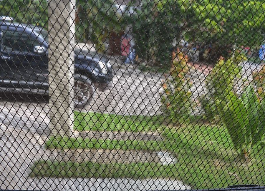 House with big garden for rent in Vizkaya Subdivision, Calajoan ...