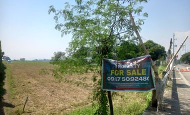 FOR SALE Lot in Pililia Tanay Rizal