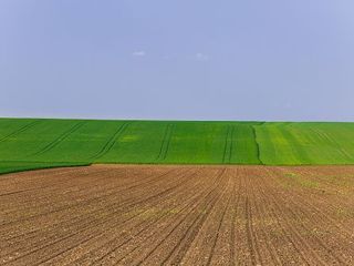 Building plot