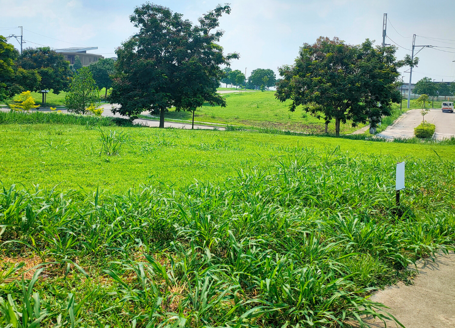 Lumira, Canlubang, Calamba, Laguna image 3