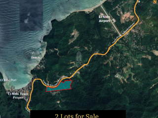 For Sale Road -Side Property Pasadena, El Nido Palawan
