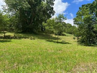 Lot for sale in Tagaytay  CANYON WOODS