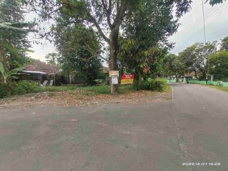 tanh hook Ngemplak bothi kartasura