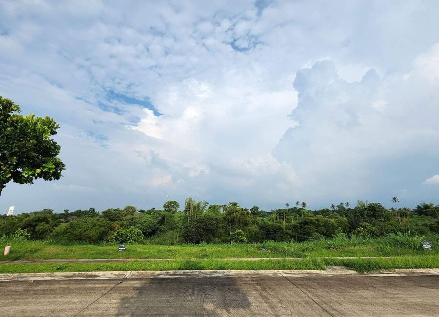 Mondia, Canlubang, Calamba, Laguna image 2