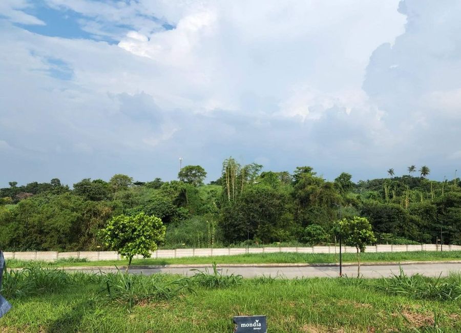 Mondia, Canlubang, Calamba, Laguna